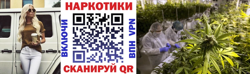 Купить наркоту Далматово ГАШ  Марихуана  COCAIN  МЕФ 