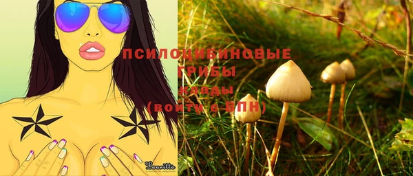 кокс Арсеньев