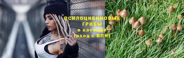MESCALINE Аркадак