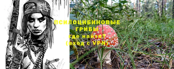 кокс Арсеньев