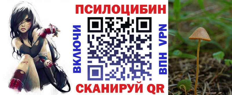 Галлюциногенные грибы мицелий  Далматово 